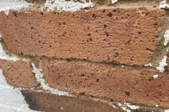 739E17A5-F908-4598-8A9E-AFF357B9EB34-min