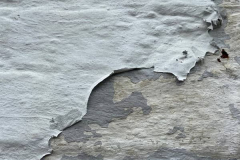 78A51056-0FF9-4100-A8B7-077488B65CE0-min