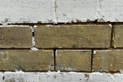 4009D26C-AE8C-4E9C-A8DB-602F732A7361-min