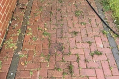 pressure-washing-29-800c