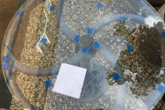 table-restoration-34-800c